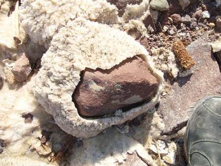 Salt formations, Iran.